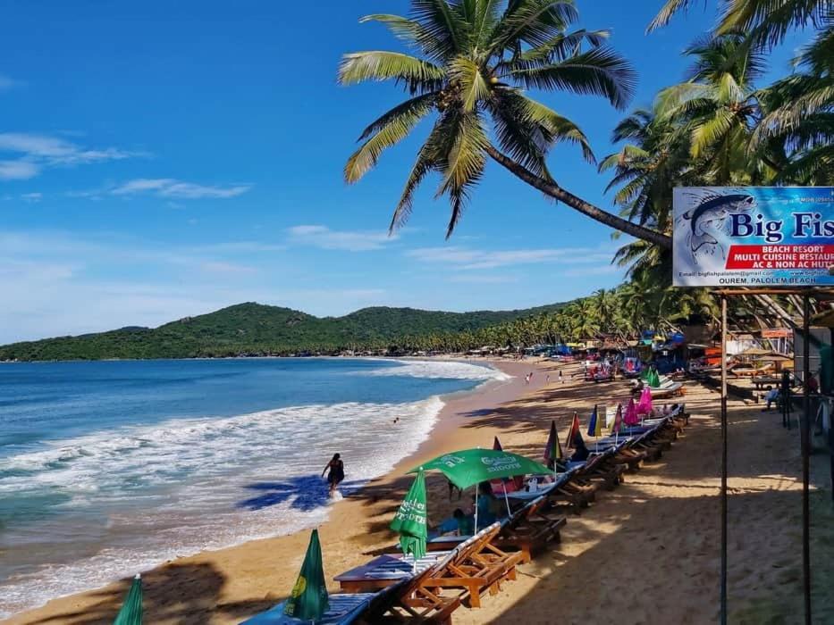 Big Fish Hotel Canacona Bagian luar foto